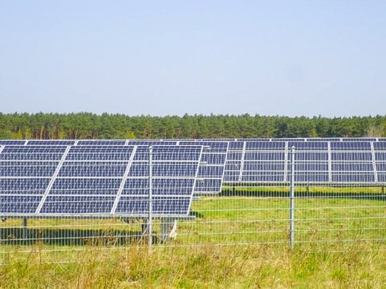 Freiflächen-Photovoltaikanlage von Murphy und Spitz Green Energy mit Wald im Hintergrund