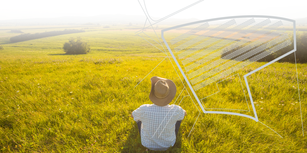 Ein Verpächter einer Freifläche schaut auf sein freies Feld und überlegt, wie er es bewirtschaftet.