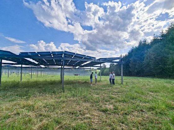 Murphy&Spitz-GreenEnergy-Buchbach-20260601_163539-web